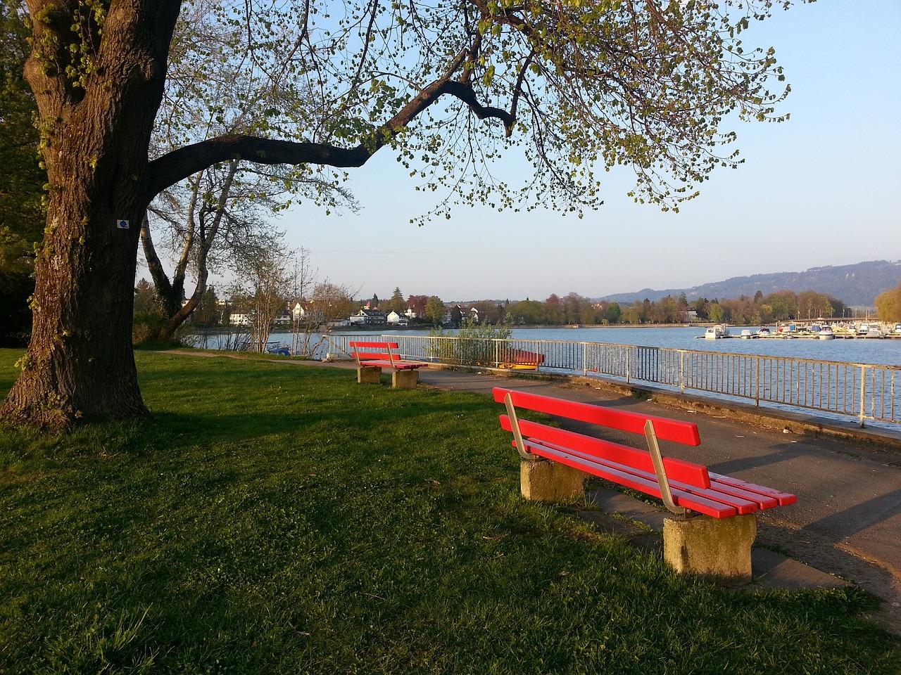 新的活力 新的活力