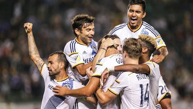 整和完善自 整和完善自