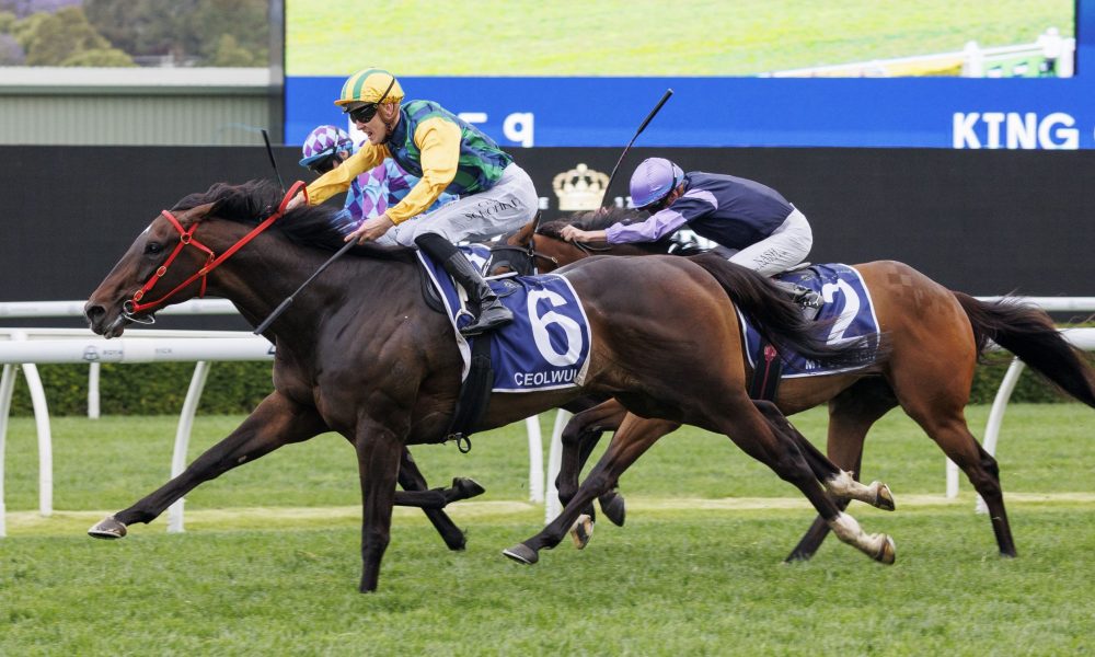 使那不勒斯 使那不勒斯